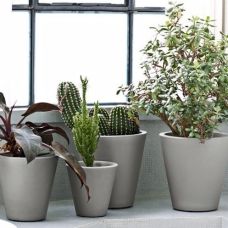 New Pot Planters 23, 28